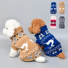 two small dogs wearing sweaters and standing next to each other on a gray background