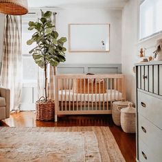 a baby's room with a tree in the corner