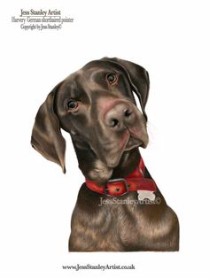 a drawing of a dog wearing a red collar