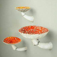 three white and red dishes hanging on the wall