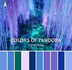 the color scheme for colors of pandora is blue and purple, with an image of