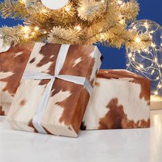 two wrapped presents under a christmas tree with lights on the branches in front of it