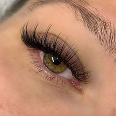 Pretty Lashes