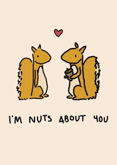 two squirrels are sitting next to each other with the words i'm nuts about you