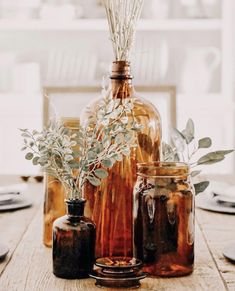 three vases with plants in them sitting on a wooden table next to plates and utensils