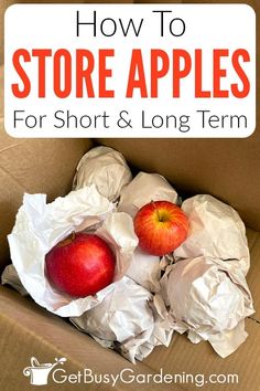 an open box with two apples in it and the words how to store apples for short and long term