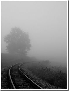 black and white photograph of train tracks in the fog with tree on far side by itself