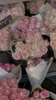 many pink roses are on display for sale