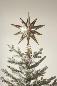 a christmas tree with a star decoration on top