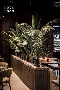 there is a potted plant in the middle of this counter at a restaurant with chairs around it