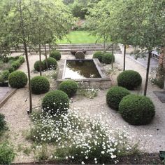 a garden with white flowers and trees around it