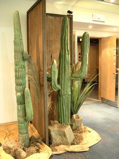 three large green cactus plants sitting in front of a wooden box with rocks and grass