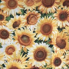 a bunch of sunflowers that are all together