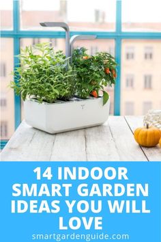 14 indoor smart garden ideas you will love. Indoor smart gardens have become really popular and are a great way to bring plants inside. They allow everyone to enjoy the pleasure of growing plants, without necessarily having a green thumb. Read more at sma Smart Gardening, Winter Gardening, Hydroponics Diy, Indoor Herb, Herb Gardens, Vertical Herb Garden, Aquaponics System, Indoor Herb Garden