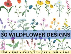 30 wildflower designs with flowers and leaves