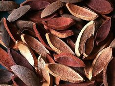 the seeds have been cut into pieces and are ready to be used as garnishes