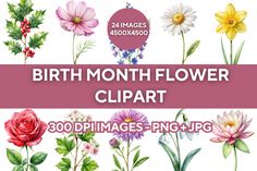 the birth month flower clipart is shown with flowers and leaves in watercolors