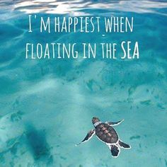 a turtle swimming in the ocean with a quote above it that reads, i'm happtest when floating in the sea