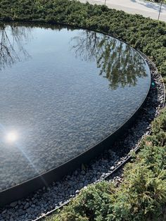 a large circular pool surrounded by plants and rocks in the middle of a park area