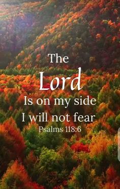 the lord is on my side i will not fear