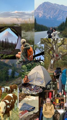 a collage of photos with people and animals in the background, including mountains, trees, tents, and camping gear