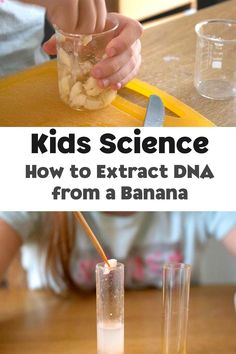 A simple kitchen science experiment to extract DNA from a banana. This fun and a little bit gross experiment is great for kids to start to understand what DNA is and how it makes us what we are with our genetic code. Banana Science Experiment, Dna Stem Activities, Dna Activities For Kids, Banana Activities For Kids, Chemistry Activities For Kids, Dna Experiments, Dna Lesson