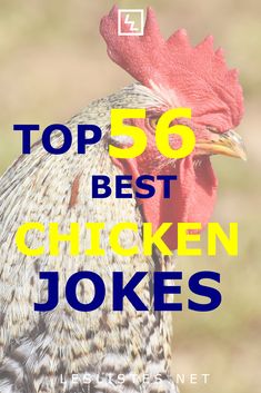 a chicken with the words top 50 best chicken jokes on it's head in front of