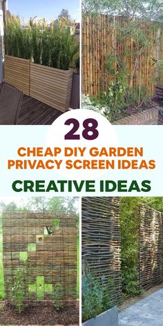 several different types of garden privacy screens with the words 28 cheap diy garden privacy screen ideas