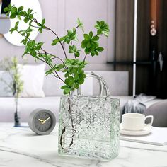 a glass vase with a plant in it sitting on a table next to a clock