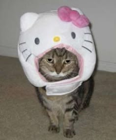 the cat is wearing a hello kitty hat