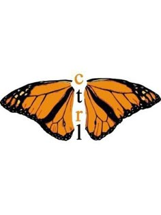 two orange butterflies with the words ctrl on it's back and one is facing each other