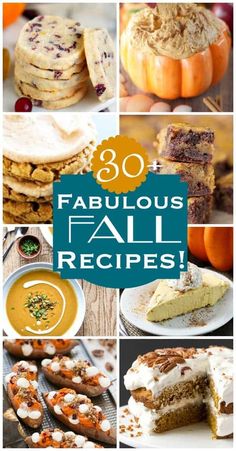 More than 30 FABULOUS FALL RECIPES to keep your tummy happy this season! Lots of delicious cranberry, pumpkin, and apple recipes here! Cranberry Pumpkin, Mom On Timeout, Fall Appetizers, Christmas Recipes Appetizers, Fall Cooking, Apple Crisp Recipes, Fall Dinner, Fabulous Fall