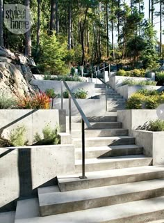 concrete steps leading up to the top of a hill with trees and bushes in the background