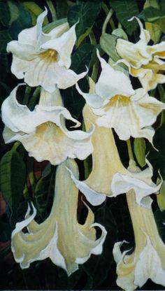 a painting of white flowers with green leaves