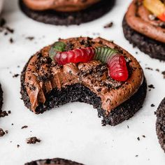 there are chocolate cookies with candy on top