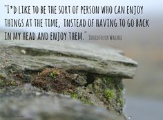 a rock with moss growing on it and a quote from david d rockefeller about being the person who can enjoy things at the time, instead of having to go back in my head