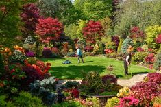 two people standing in the middle of a lush green park surrounded by trees and flowers