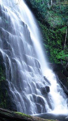 a large waterfall in the middle of a forest