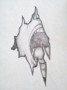 a pencil drawing of a shark with its mouth open