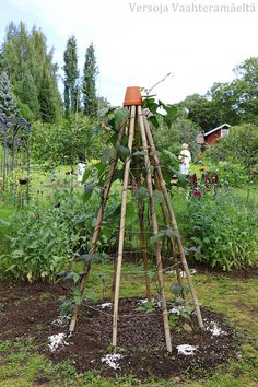 a wooden structure made out of sticks in the middle of a garden filled with plants