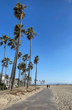 palm trees line the beach as people walk by