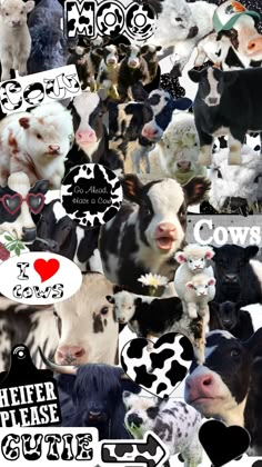 a collage of cows with hearts and i love cows stickers all over them