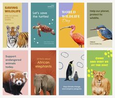 there are many different animal cards on this page to help kids learn how to read