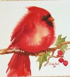 a red bird sitting on top of a tree branch with leaves and berries around it