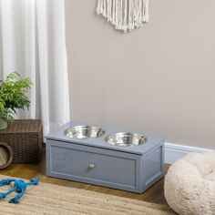 a blue dog bowl with two bowls on the floor next to a rug and potted plant