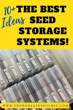 the best ideas seed storage systems for your home and garden, including tips on how to use them