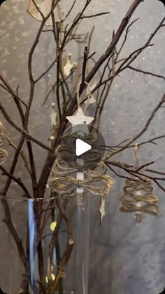 a vase with some branches in it and ornaments hanging from the tree branch behind it