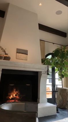 a living room with a fire place in the center and a potted plant next to it