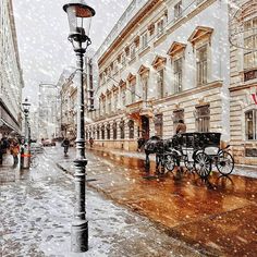 a horse drawn carriage on a city street in the snow