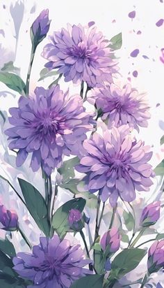 a bunch of purple flowers on a white background